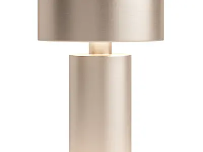 Column Table Lamp Portable By Audo 3D model