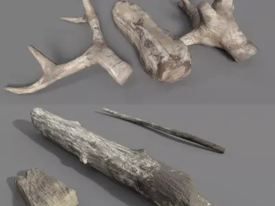 Driftwoods - Game Ready - PBR wooden stick Low-poly 3D model