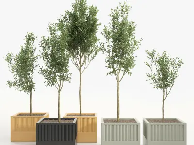 Icaria by esteve bonell 3D model