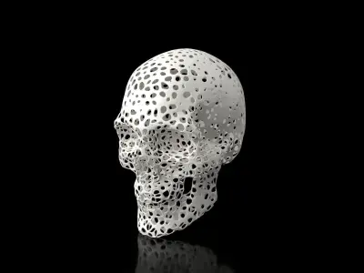 Skull Voronoi Low-poly 3D model