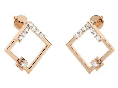 Light wt Women Diamond Earrings  3D print model
