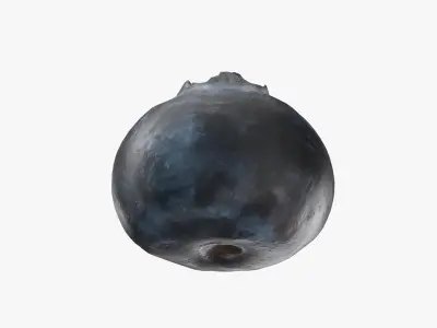  Blueberry - Photo Scan 