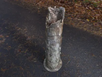 Tree Stump Low-poly 3D model
