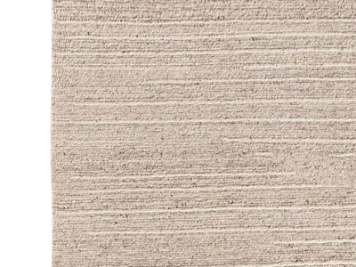 KIRAN WOOL and SILK RUG 3D model