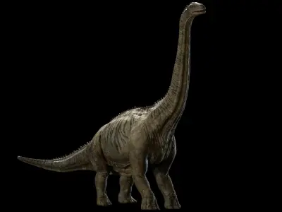  brontosaurus 3D (Rigged) 