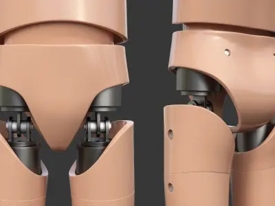  Child Crash Test Rigged Dummies Collection 