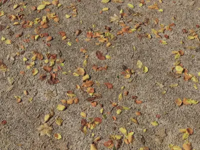 Autumn Fallen Leaves on Dirt Ground Seamless PBR Texture Texture