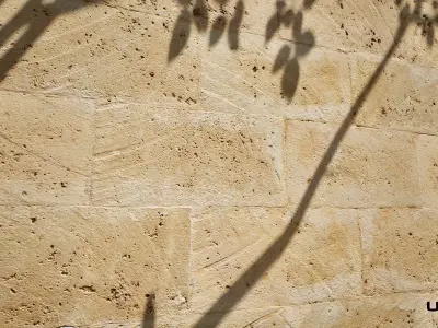 Bricks 20 - Scanned Materials Texture Texture