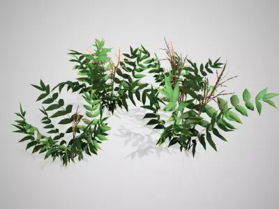 False Spirea Cluster bush Low-poly 3D model