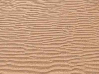 Sand Beach 05 PBR Low-poly 3D model