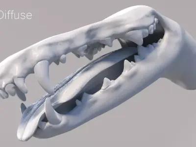 Dog Mouth 3D model