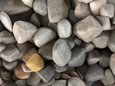 Pebble sea n3 3D model