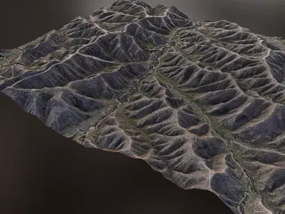 Landscape D - Scan 3D model