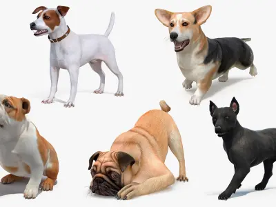  Small Dogs Rigged for Cinema 4D Collection 3 