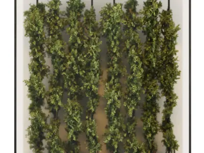 light box with tropical ivy garden in frame glass smoked 03 Low-poly 3D model