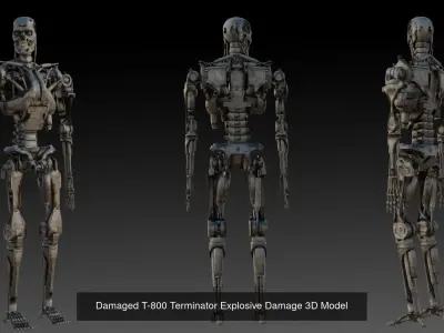T-800 3D Model Pack  3 High Detail Terminator Variants