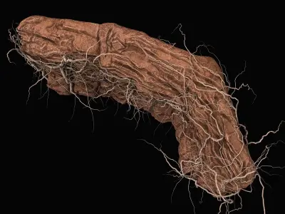 Desert cliff 3D model