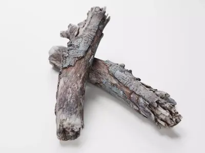 Wooden Stick - 3D Scan Low-poly 3D model