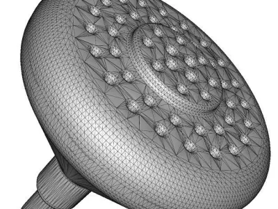 Spectacular Shower Head Low-poly 3D model