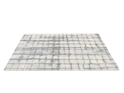 LOKESH HAND-KNOTTED WOOL SILK RUG W 3D model