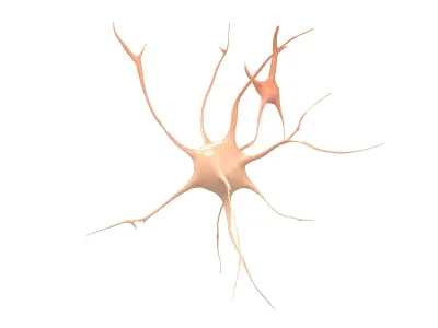 Neurons v1 003 Low-poly 3D model