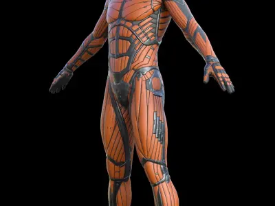 Male Suit Low-poly 3D model