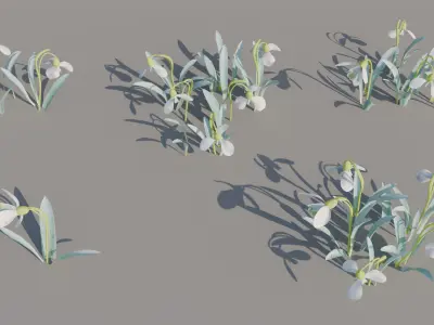 Spring flowers 3D model