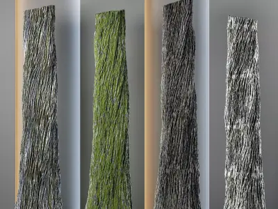 4 Tree bark and trunk vol 9 - 4k - pbr - tileable Texture