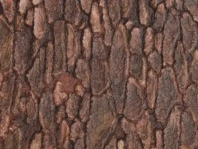 Glossy Red Pine Bark Texture