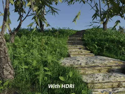 Steps Forest Scene 3D model