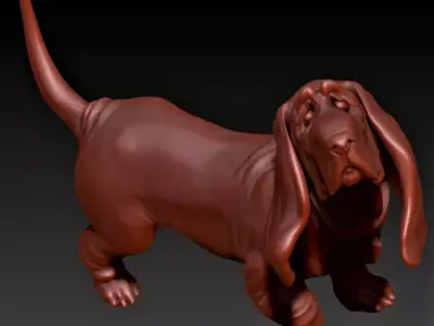 Basset-hound basset hound 3D print model