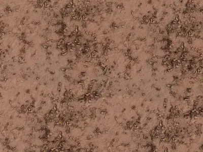 Scattered Dead Leaves Ground  Texture