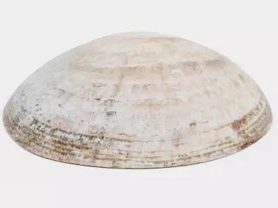 Clam V3 - Realistic Hard Shell 3D model
