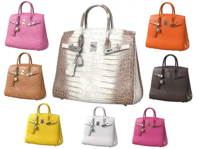 Hermes Birkin Bag  3D Model Pack