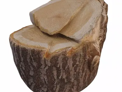 trunk 103 3D model