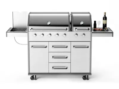 Barbecue 10 3D model