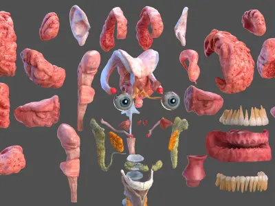  Male Full Body Anatomy and Skin 