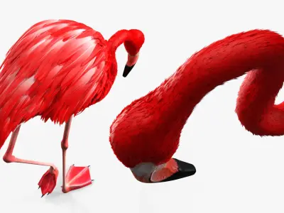  Flamingo Red Tropical Foraging Pose 