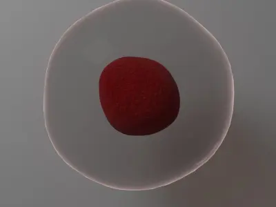 Human Cell Free 3D model