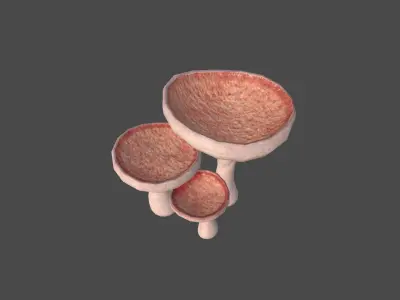 Fantasy Mushroom J11 Realistic - Scene Backdrop Design Low-poly 3D model