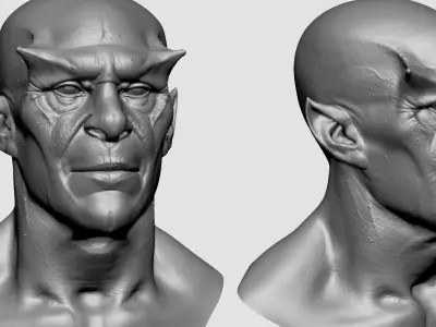 Male Head T 3D model