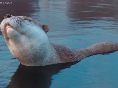  Aquatic Otter Walking Animated Rigged 