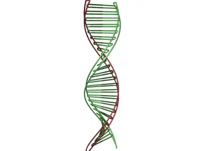 DNA Molecule v3 007 Low-poly 3D model