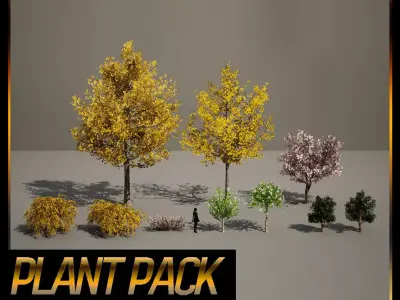 PREMIUM PLANT PACK - 10 realistic Korean Street Tree Pack 01 3D model