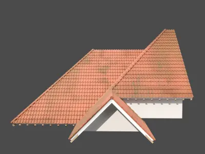 Realistic Roof Collections 23 3D model