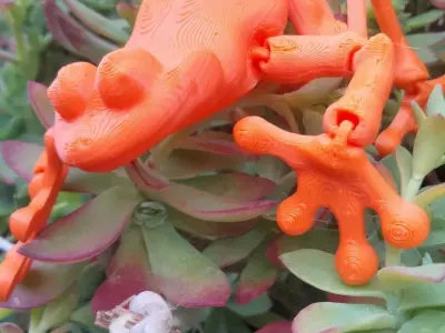 Linda ranita flexible articulada tiempo limitado Free 3D print model