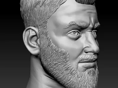 Male head sculpt human hair beard anatomy detailed  3D model