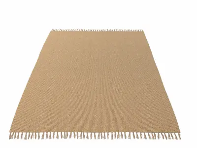 Carpet Natural Jute ZARA HOME 3D model