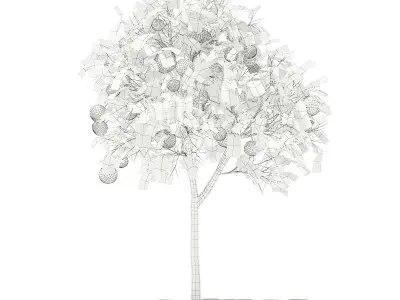 Grapefruit Tree with Fruits 3D model