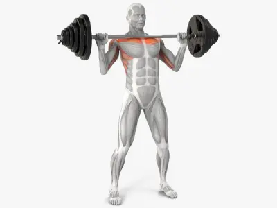  Male Muscular System Shoulder Press Animated Rigged for Cinema 4D 